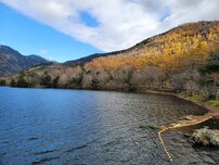 湯ノ湖の写真