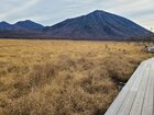 【12/4】戦場ヶ原　歩道状況