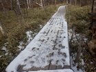 【12/13】戦場ヶ原　歩道状況・自然情報