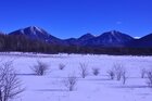 【1/16】小田代原　歩道・自然情報