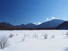 【2/17】小田代原　歩道状況